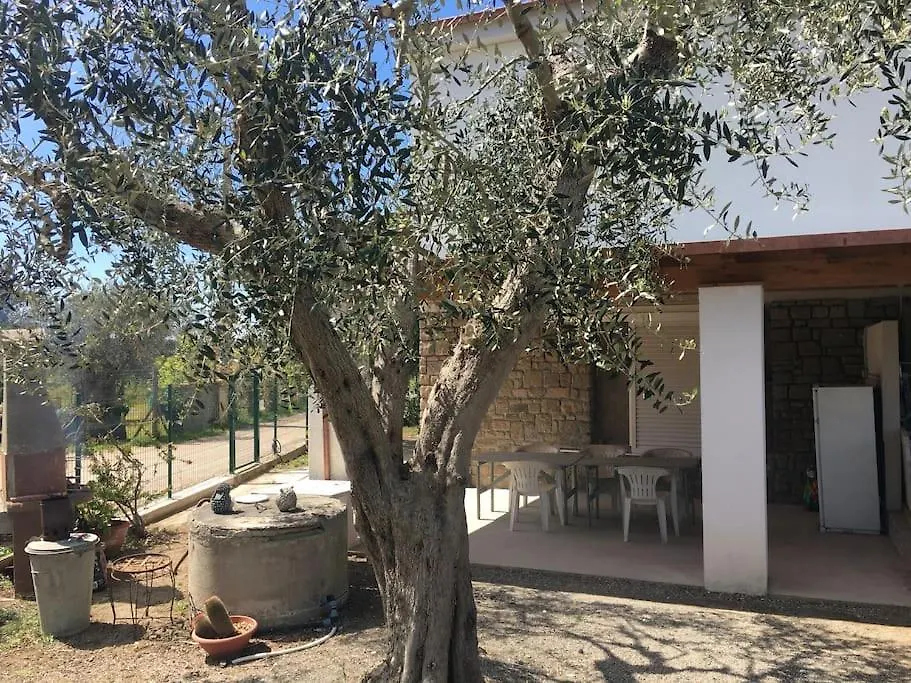 Apartment Green Holiday Castiglione della Pescaia