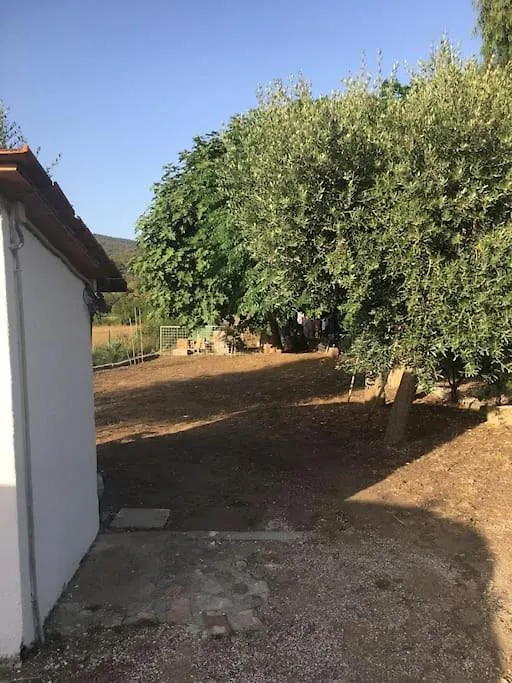 Green Holiday Castiglione della Pescaia 0*,